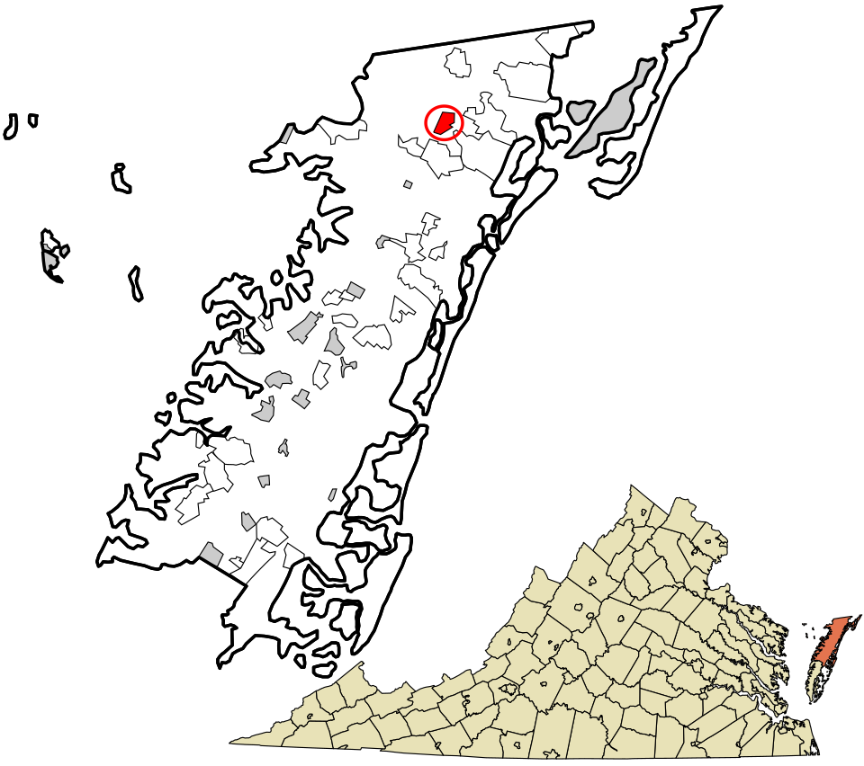 Oak Hall Authority