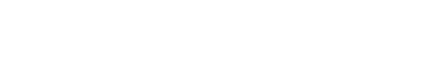 Southside Chesconessex Authority