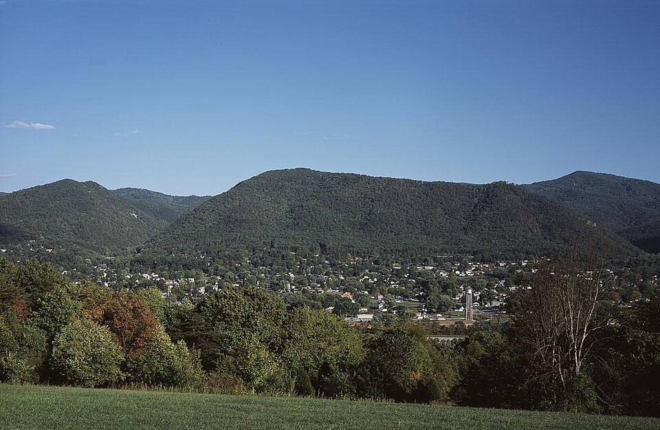 Buena Vista Authority
