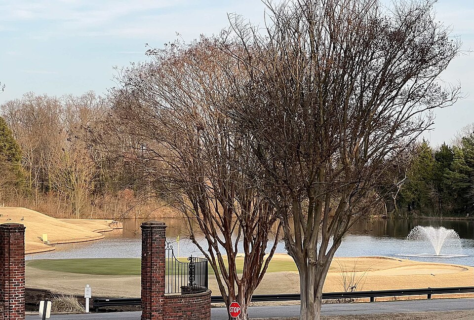 Meadowbrook Authority
