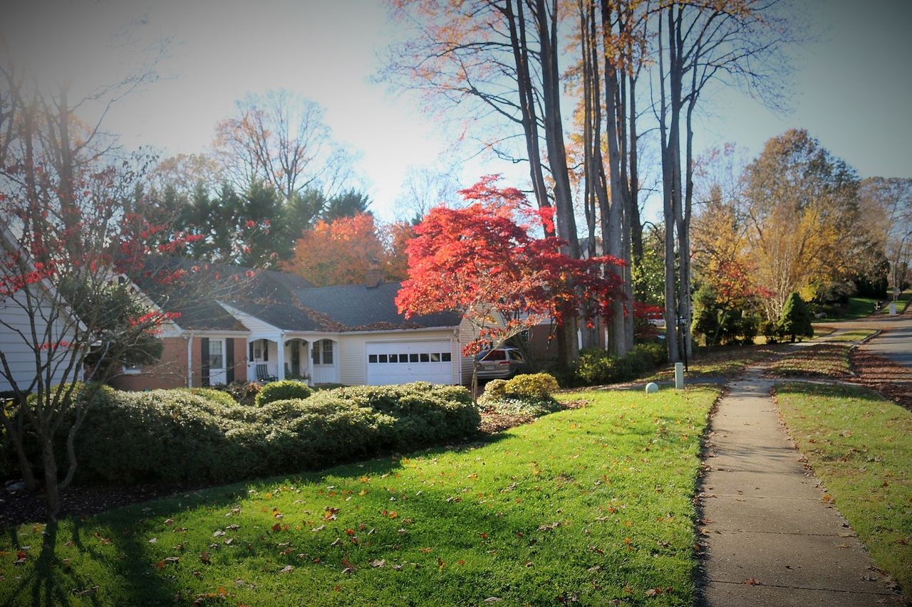 Annandale Authority