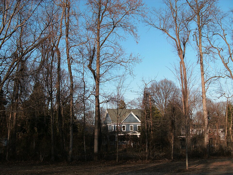 Fort Hunt Authority