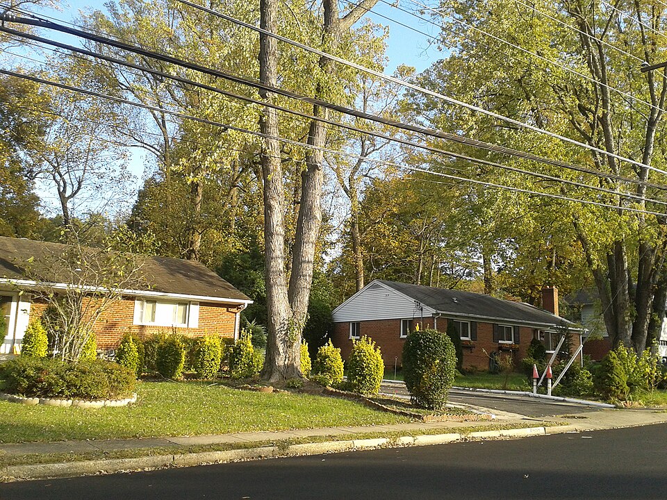 North Springfield Authority