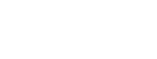 Vienna Authority