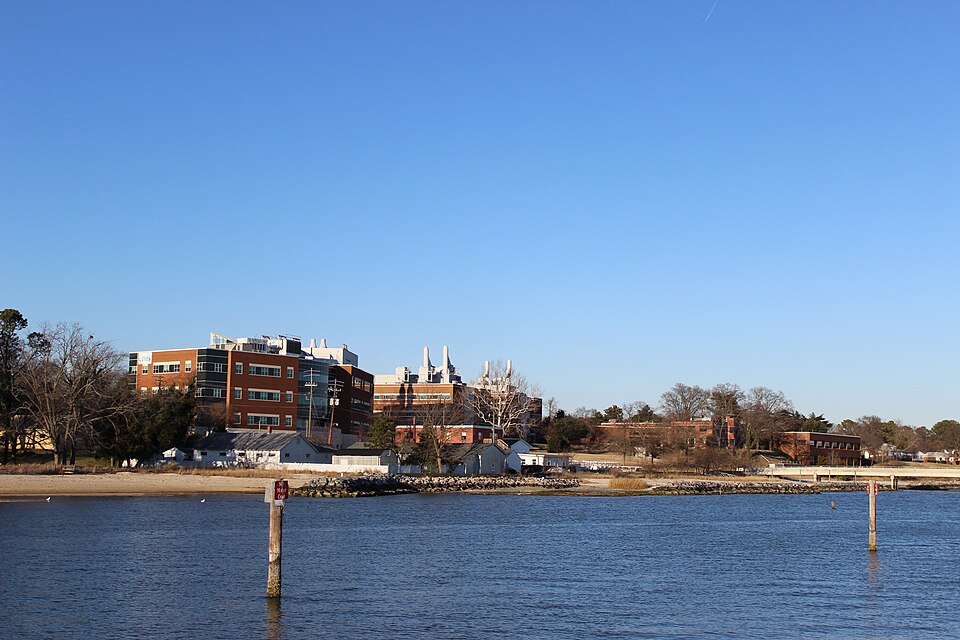 Gloucester Point Authority