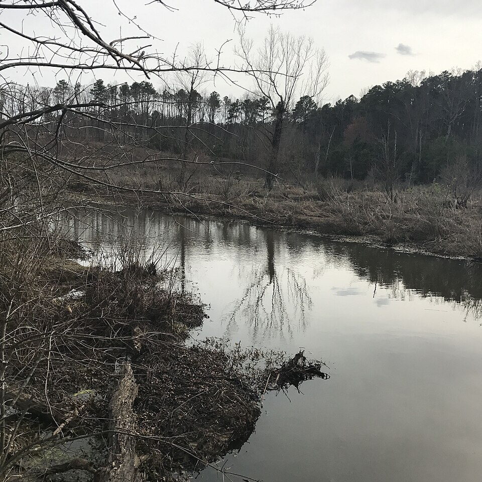 Tuckahoe Authority