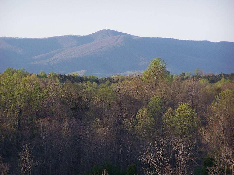 Patrick County Authority