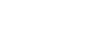 Dublin Authority