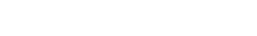 Shenandoah Shores Authority