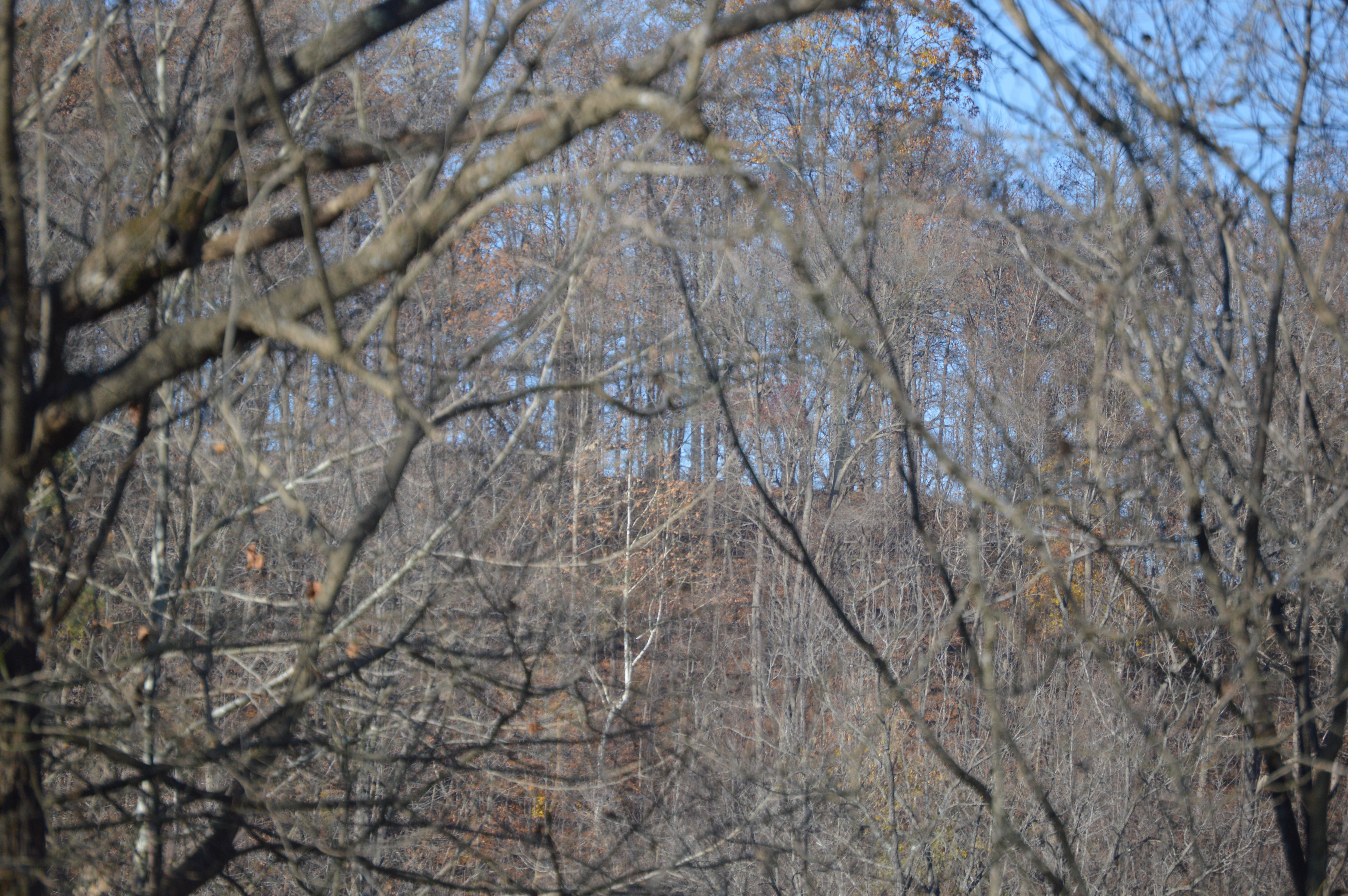 Riverview Authority