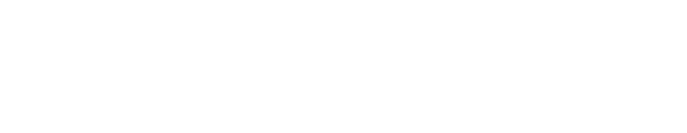 Fort Chiswell Authority