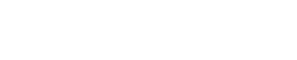 Max Meadows Authority